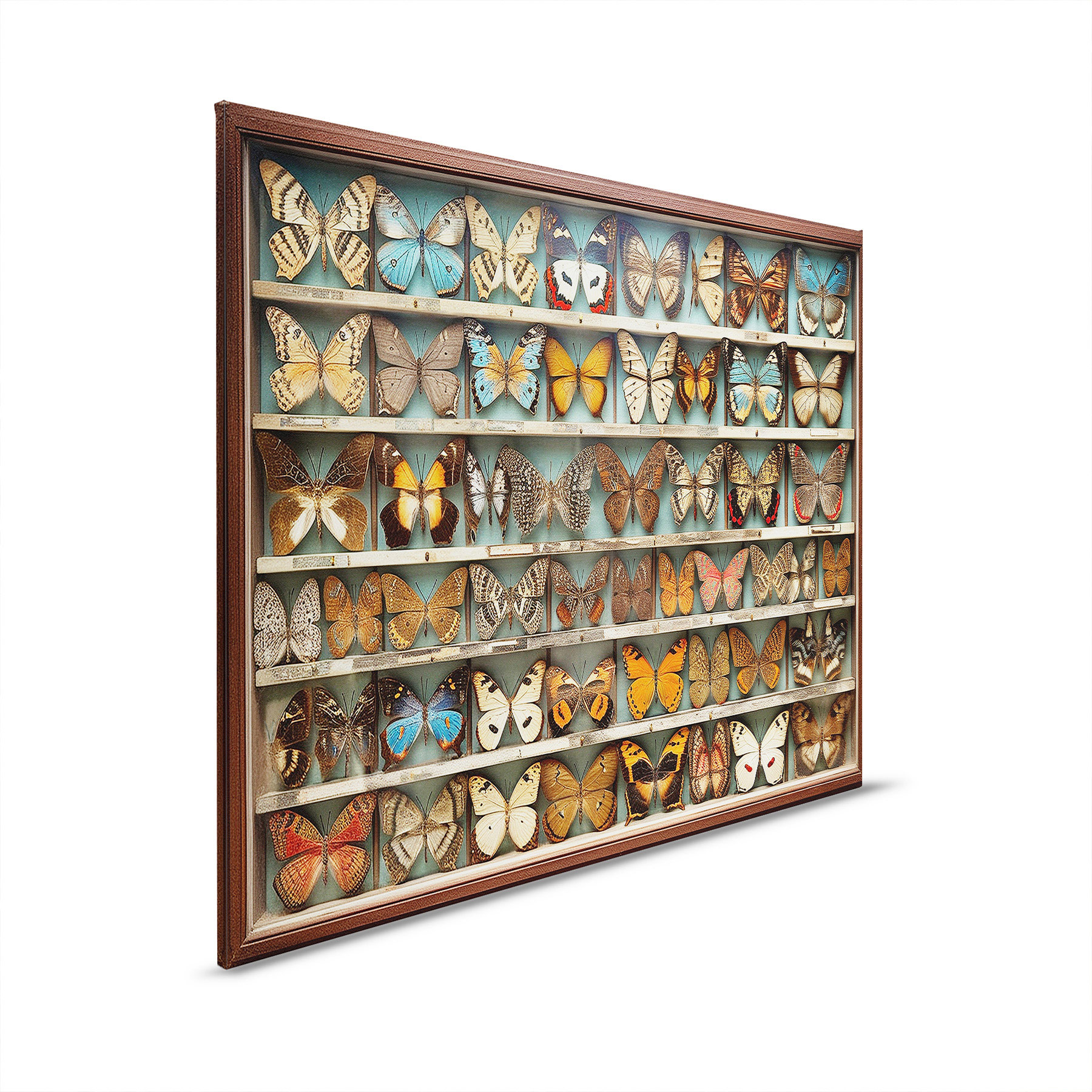 AS Leinwandbild Butterfly Box DD133270