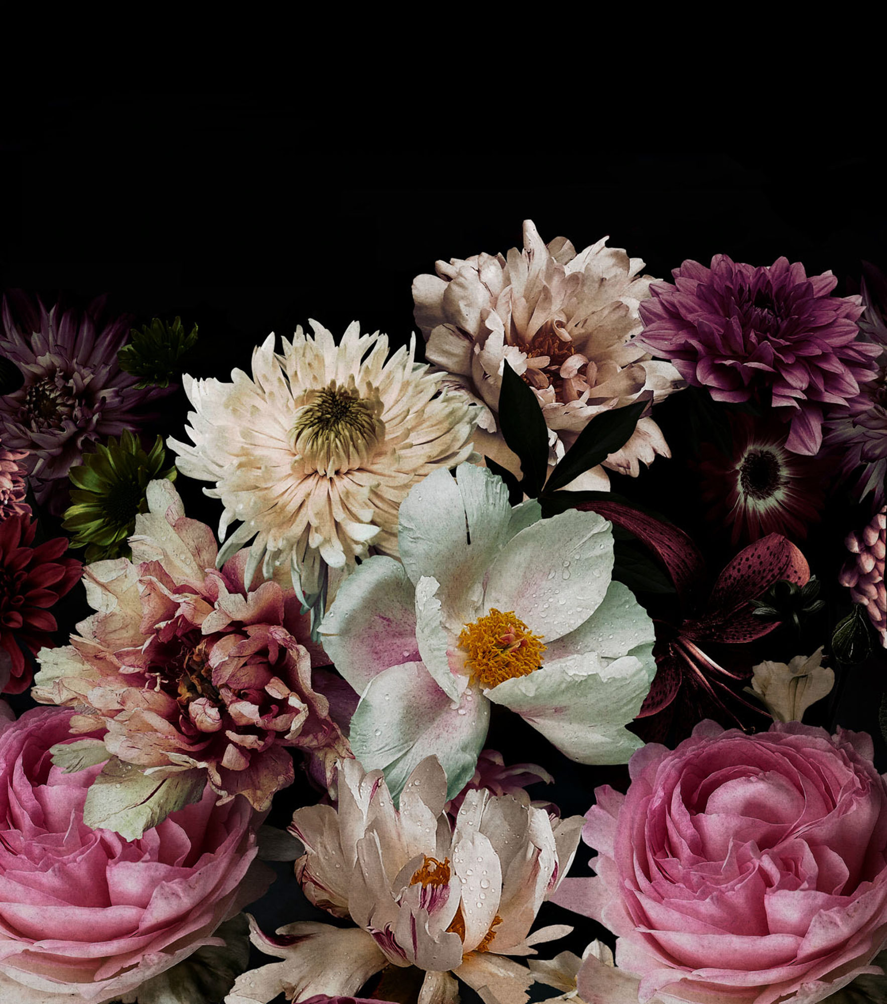 Rasch Fototapete Magic Walls Blume 363821