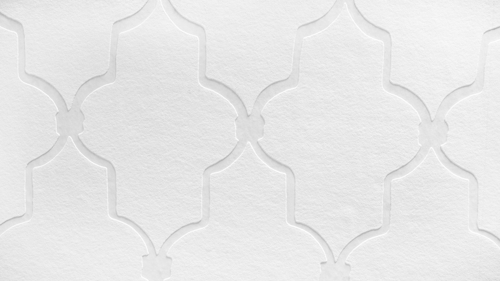 AS Vliestapete Meistervlies 8 überstreichbar 384571