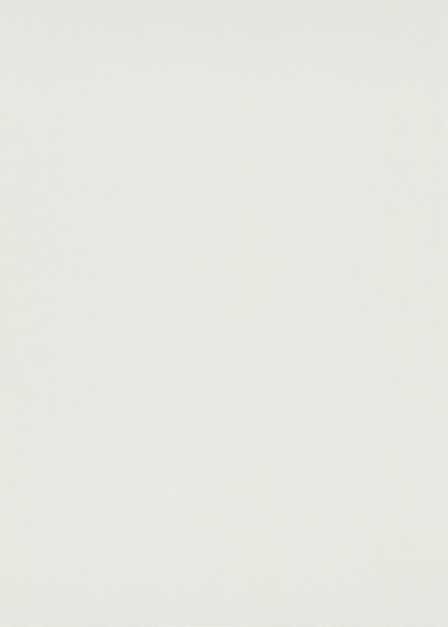 Erismann Vliestapete Martinique weiß 1039301