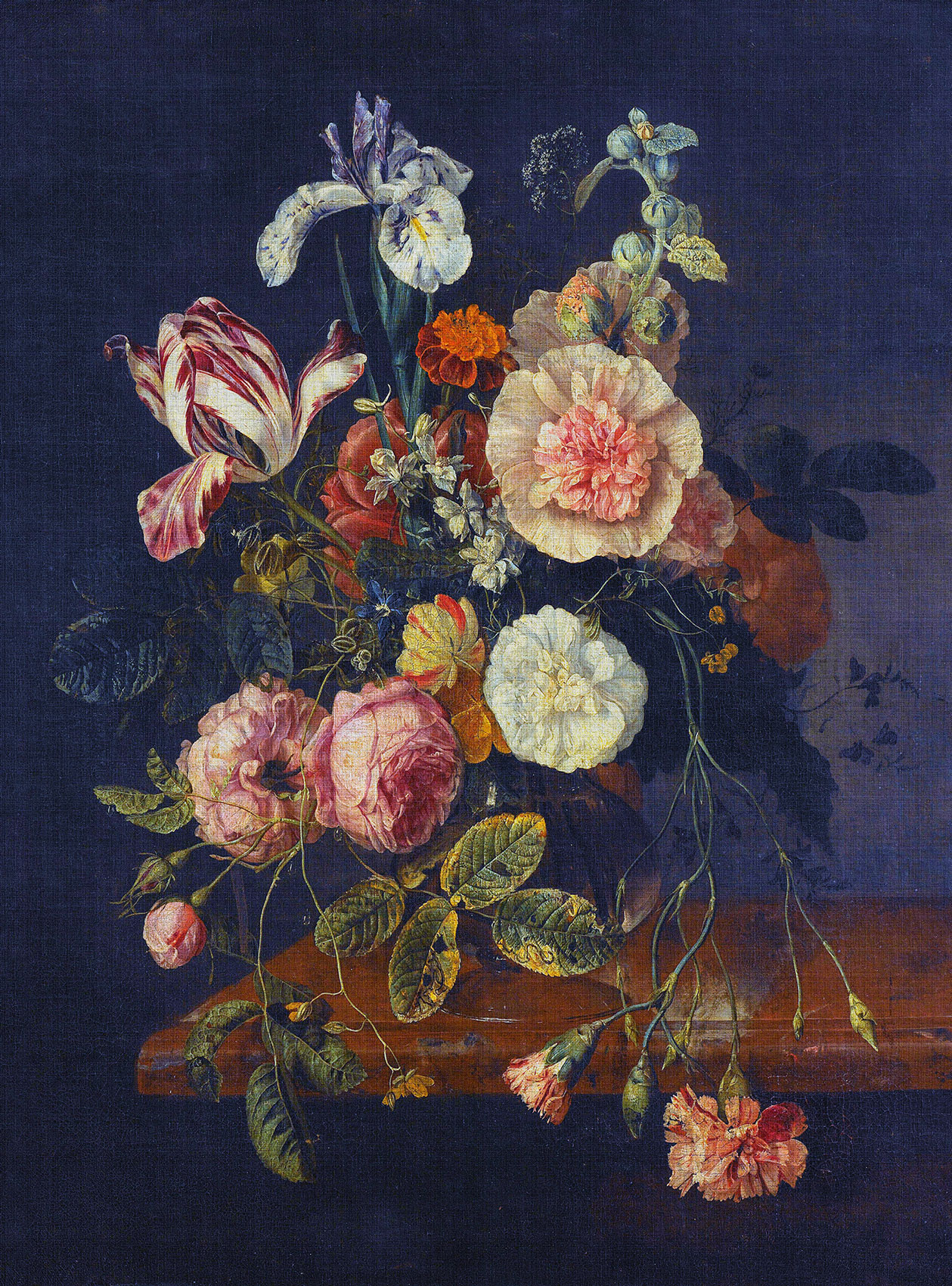 AS Fototapete Walls by Patel 3 Blumen DD122160