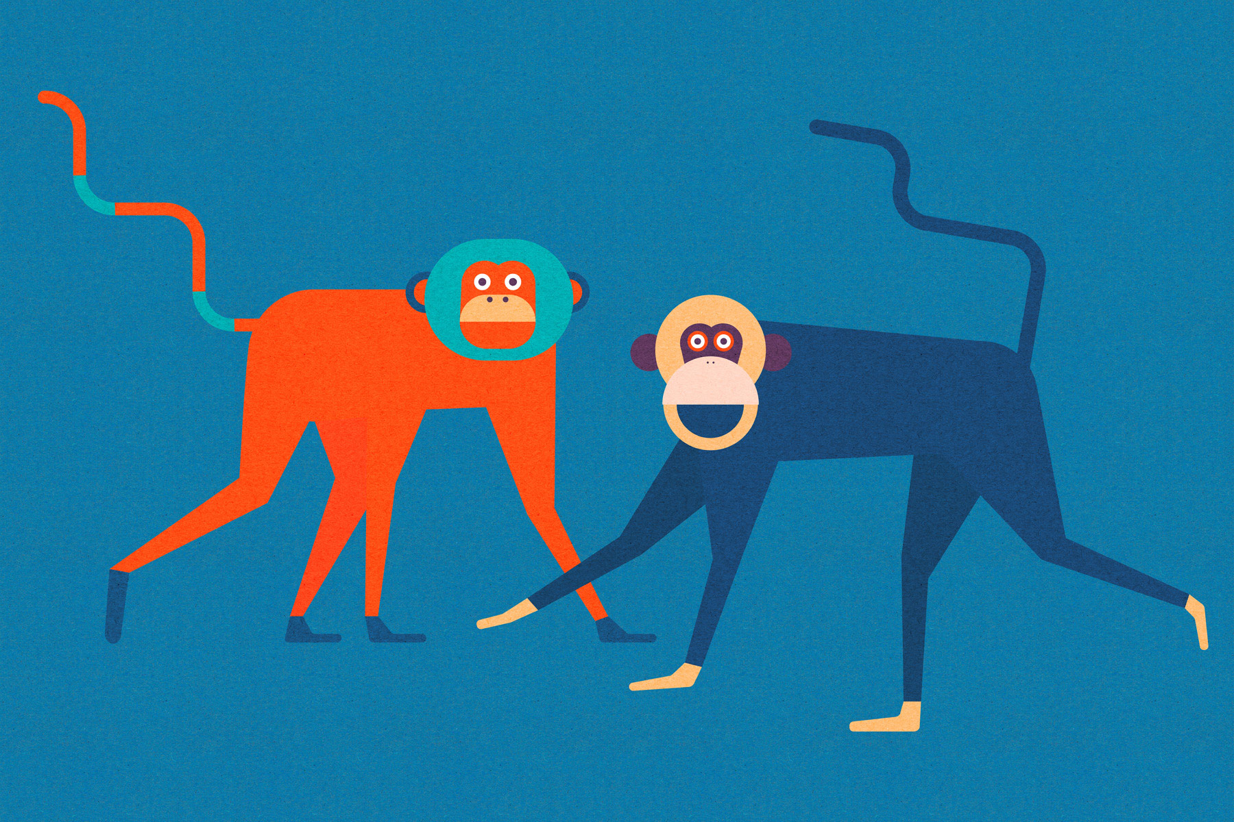 AS Leinwandbild Monkey Business 2 DD132108