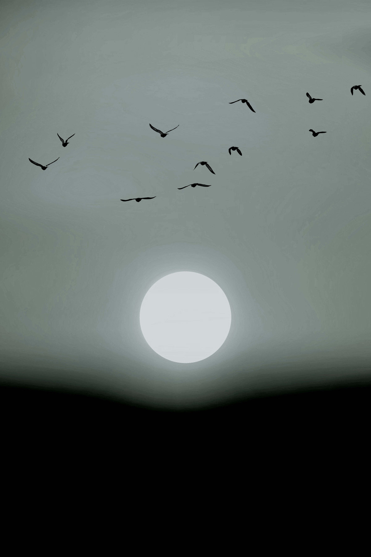 AS Leinwandbild Winter Lights DD131794