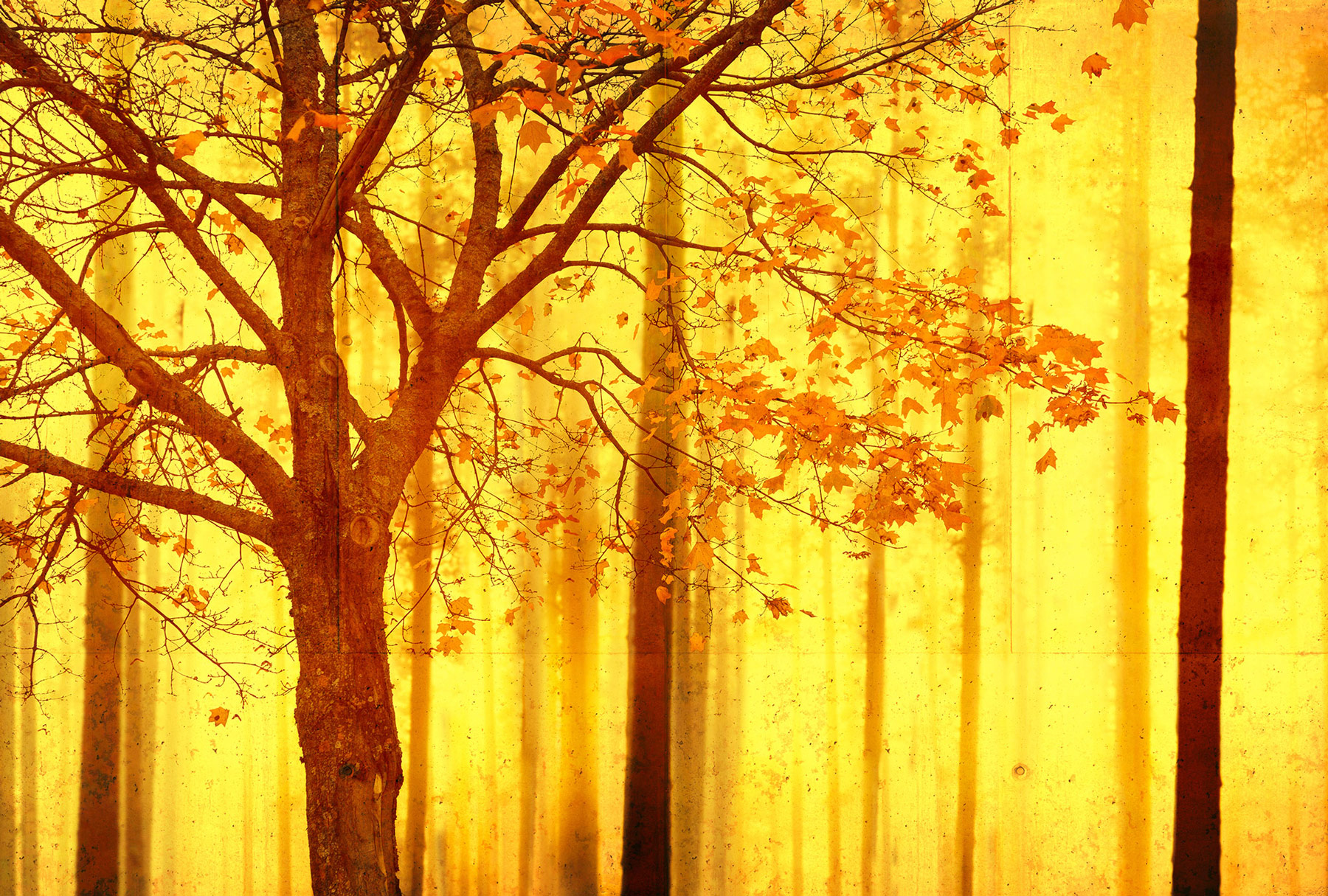 AS Fototapete Atelier 47 Edge DD117950