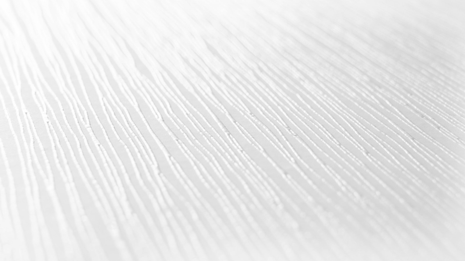 AS Vliestapete Meistervlies 8 überstreichbar 248510