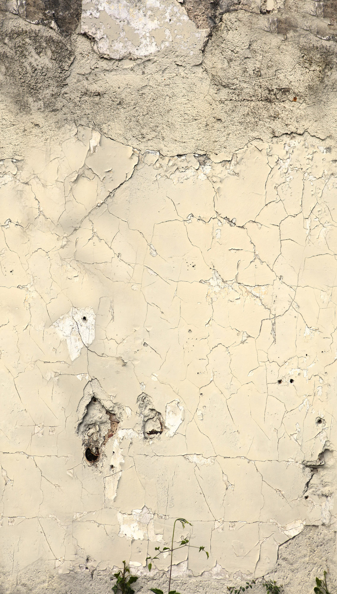 AS Fototapete The Wall 4 3D Optik Bunt 792266