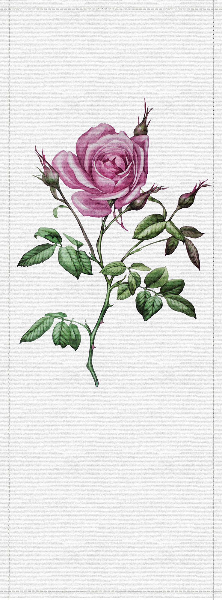 AS Fototapete Walls by Patel 2 Blumen DD114457