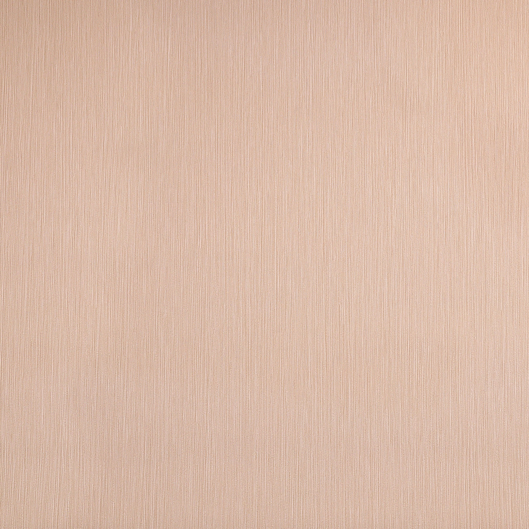 Thomas Vliestapete Ispiration 1013