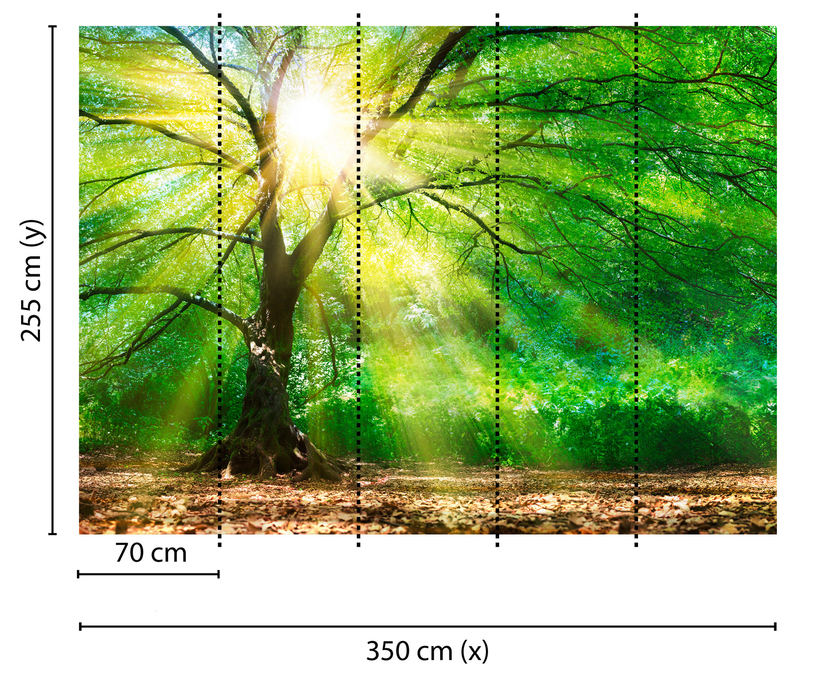 AS Fototapete Designwalls ForestLight DD118798