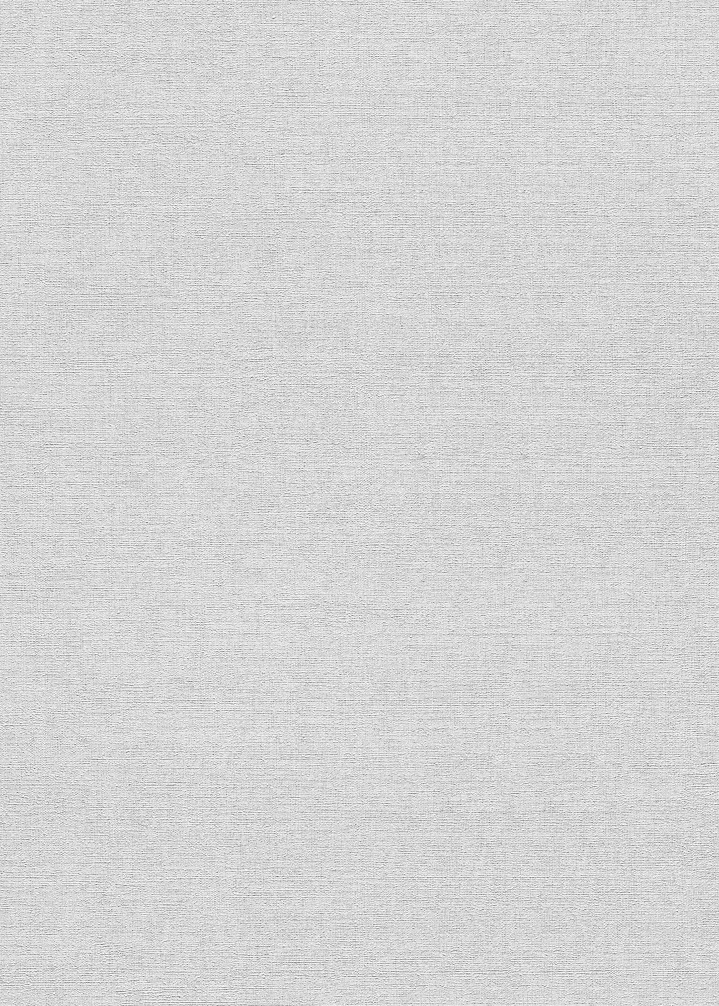 Erismann Vliestapete Forest Dreams hellgrau 1056331