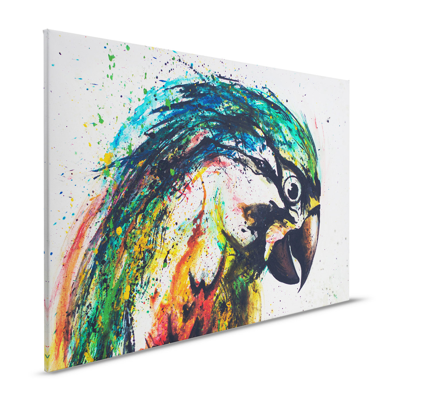 AS Leinwandbild Parrot DD132313
