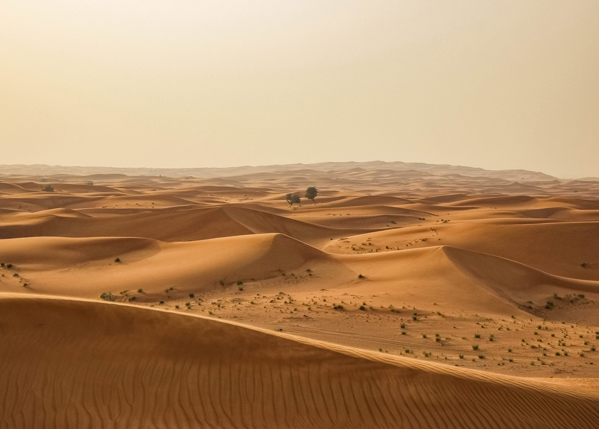 Rasch Fototapete Magic Walls Sahara 862430