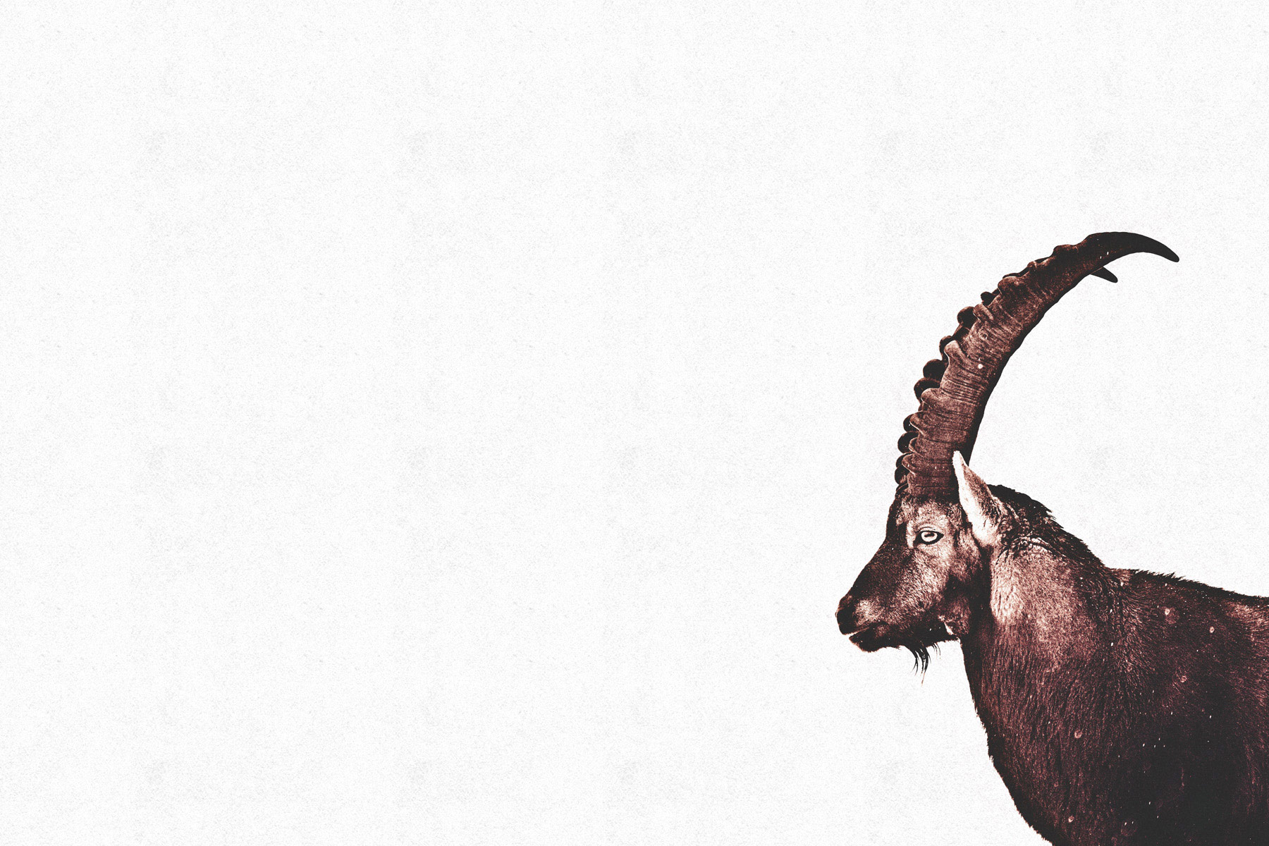 AS Leinwandbild Capricorn Snow DD132218