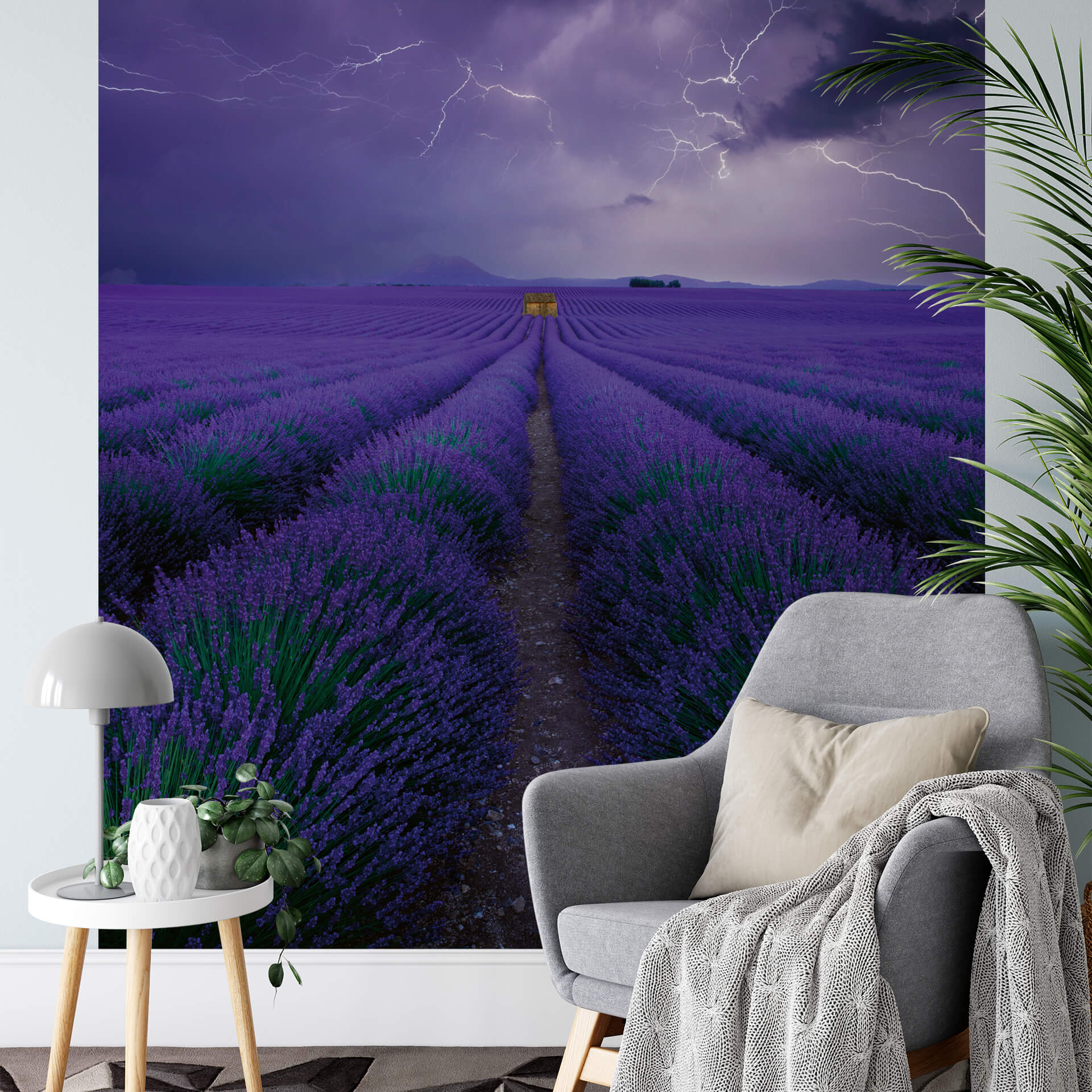 AS Fototapete Designwalls 2.0 Field Of Lavender DD119090