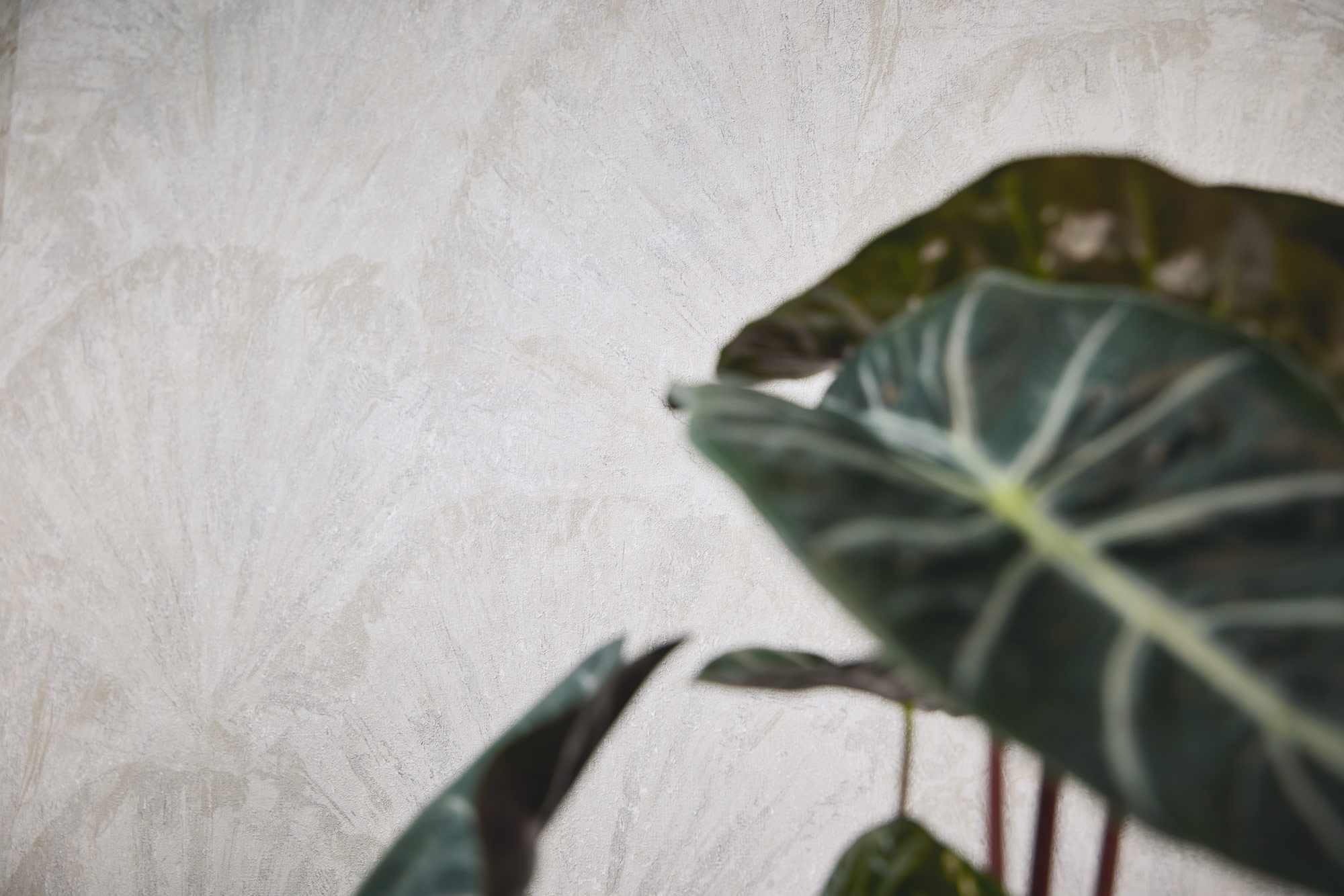 AS Vliestapete MS Hot Spots Grafik Weiß 781983