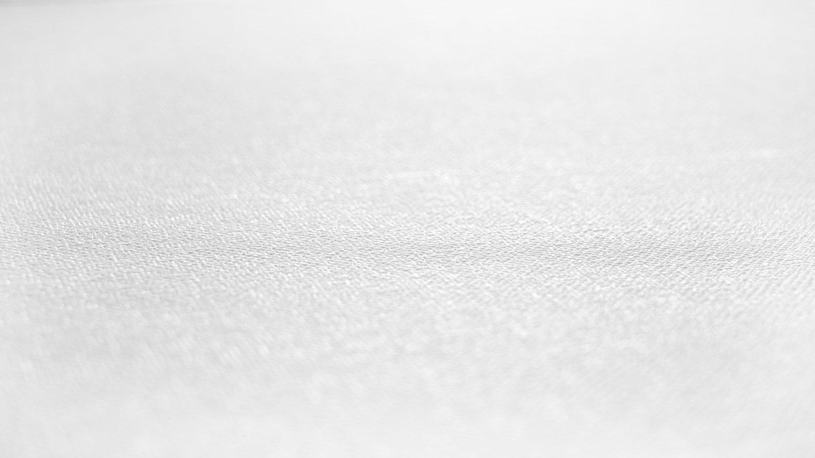 AS Vliestapete Meistervlies 8 überstreichbar 392771