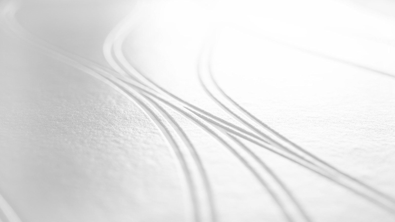 AS Vliestapete Meistervlies 8 überstreichbar 245014