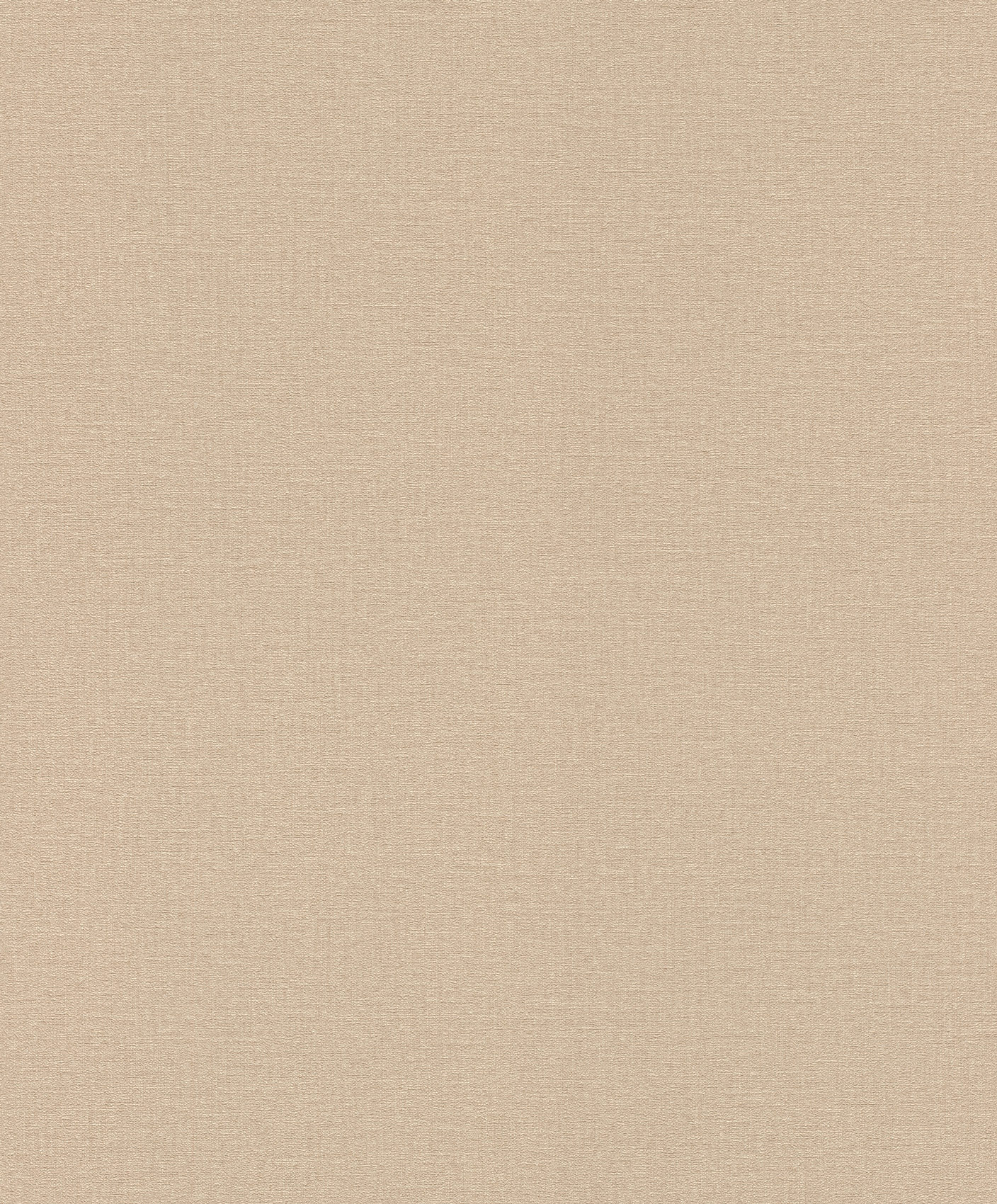Rasch Vliestapete Lirico Unitapete 555882
