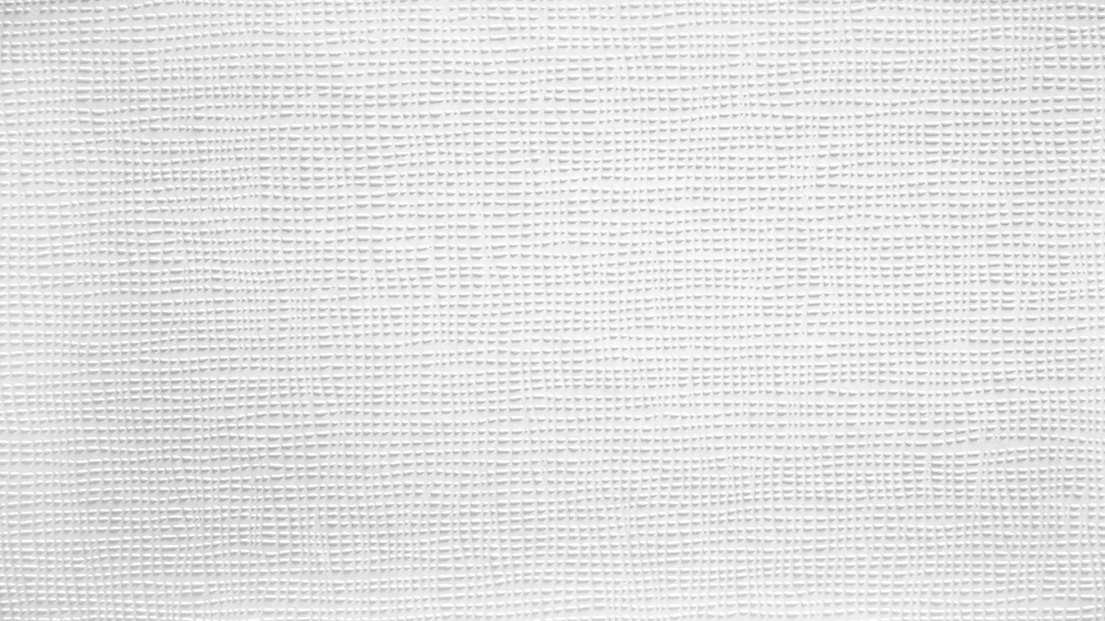 AS Vliestapete Meistervlies 8 überstreichbar 252418