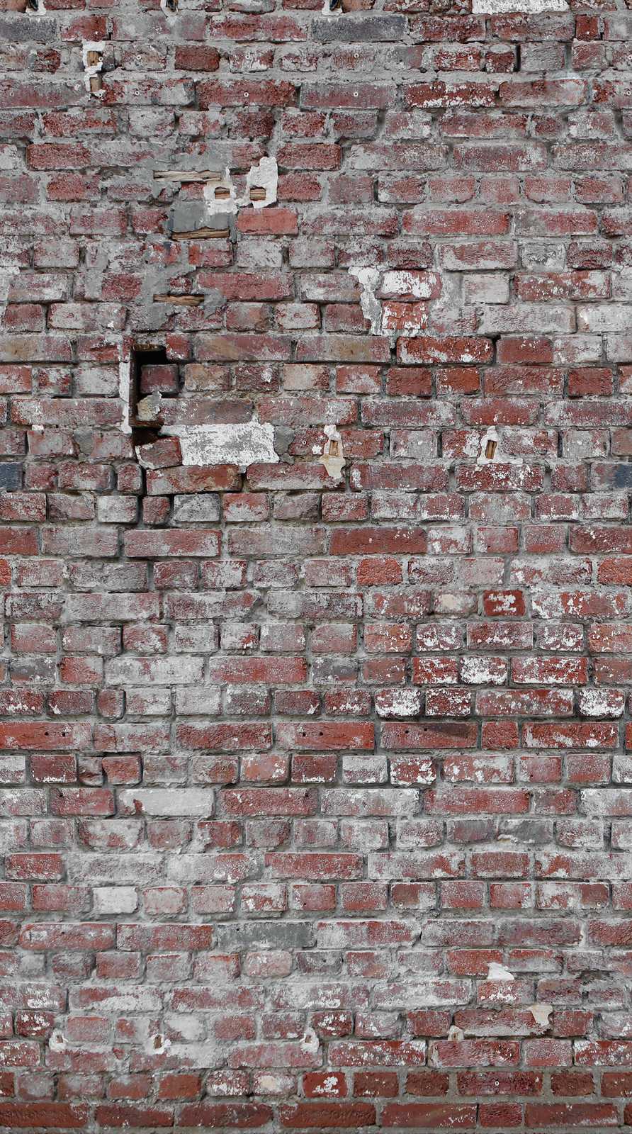 Livingwalls Vliestapete The Wall Steinoptik 383371