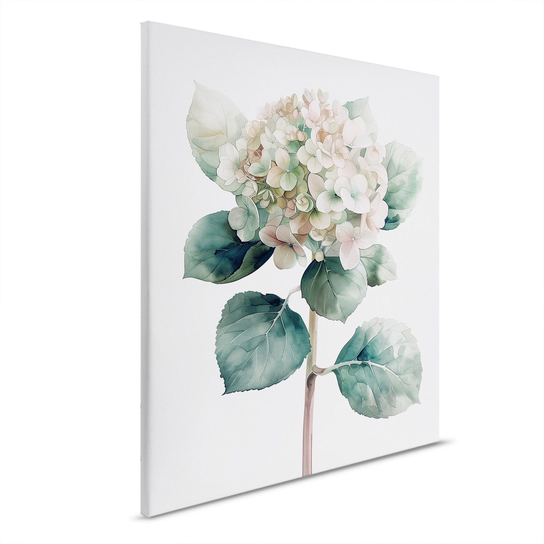 AS Leinwandbild Hortensie Rose DD132921