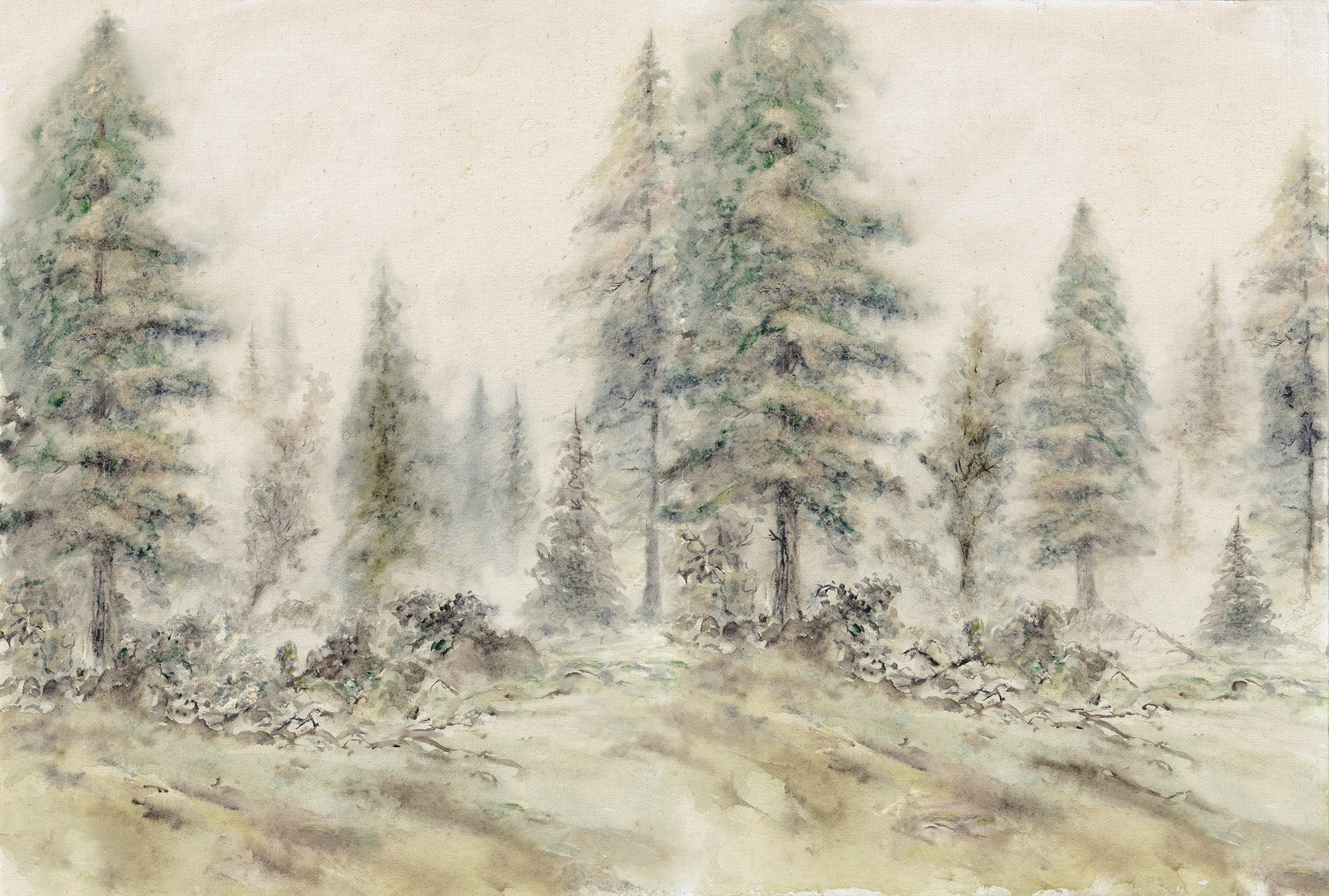 AS Fototapete Atelier 47 AquarelForest DD117845