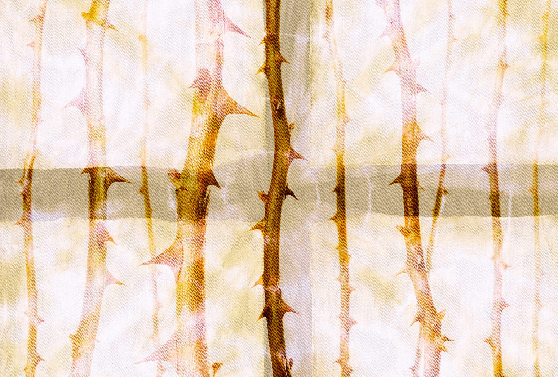 AS Fototapete Atelier 47 ThornArt DD117850