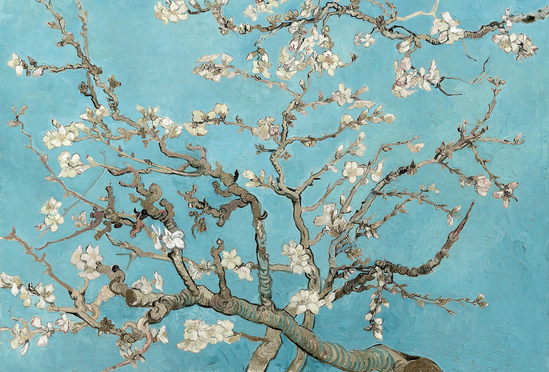 AS Fototapete Designwalls 2.0 van Gogh - Almond Blossom DD11