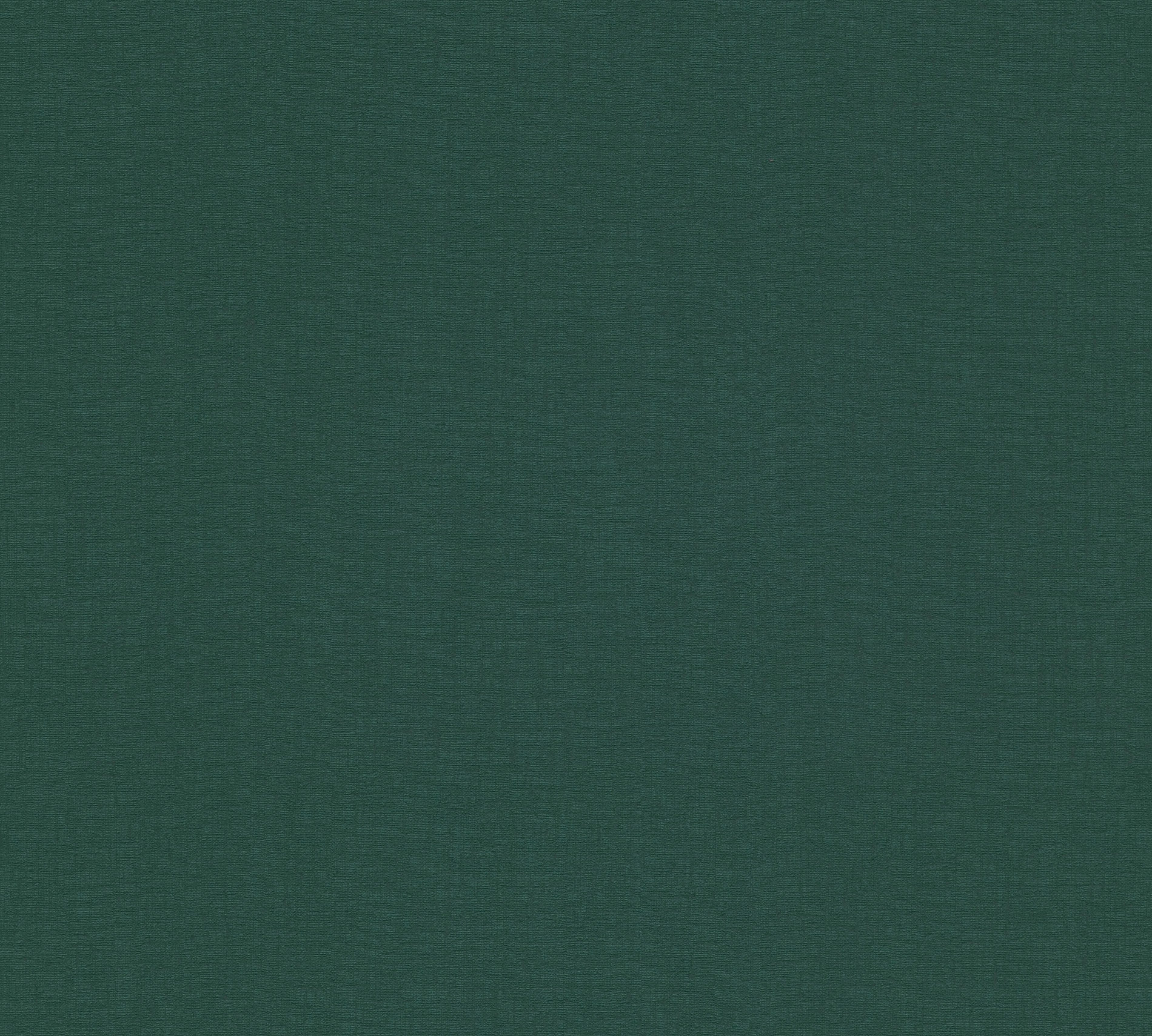 Livingwalls Vliestapete Stories of Life Uni Grün 396555