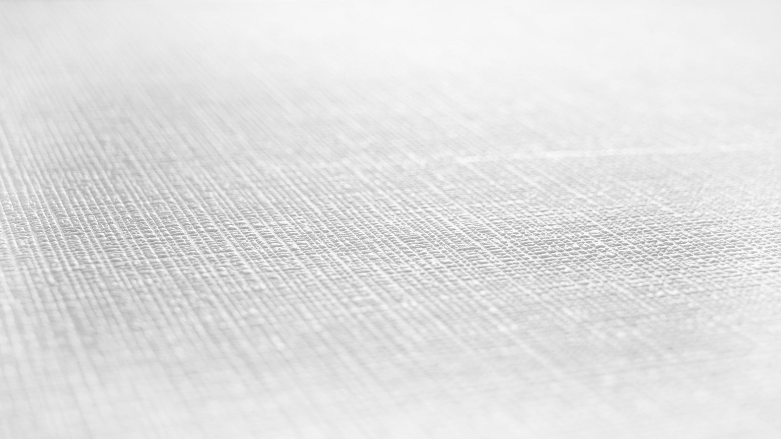 AS Vliestapete Meistervlies 8 überstreichbar 389721