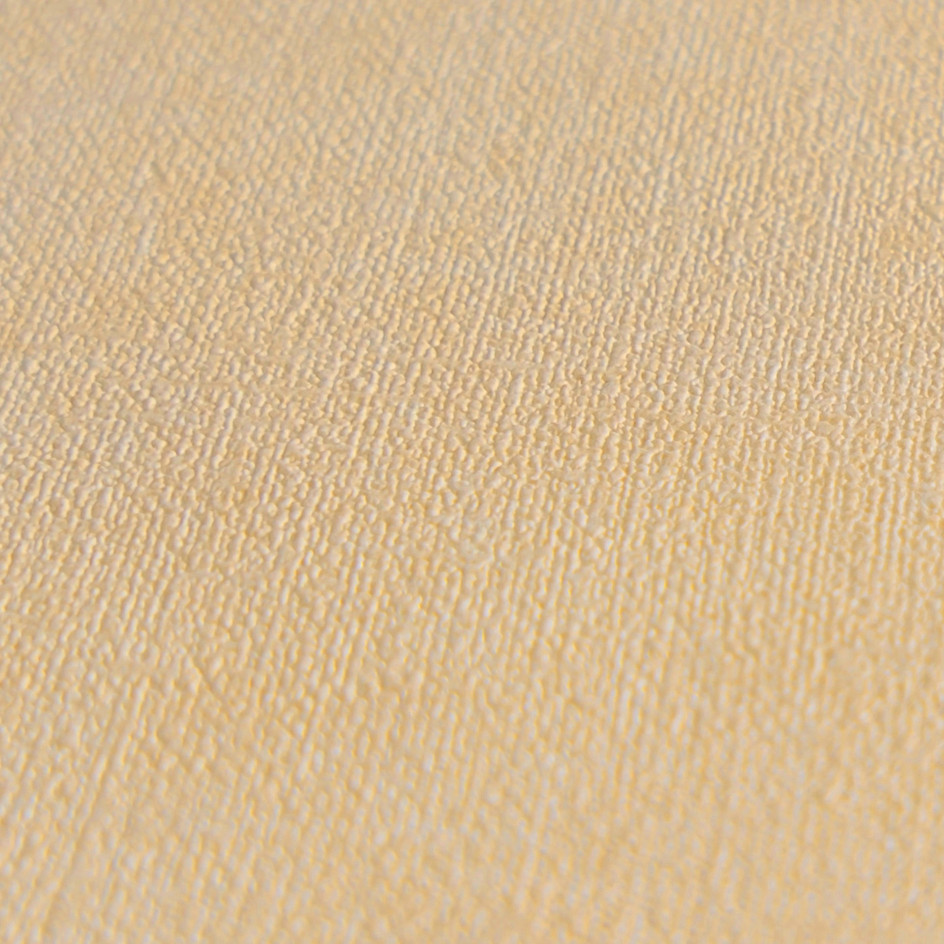 AS Vliestapete MS Hot Spots Unis Beige 395653