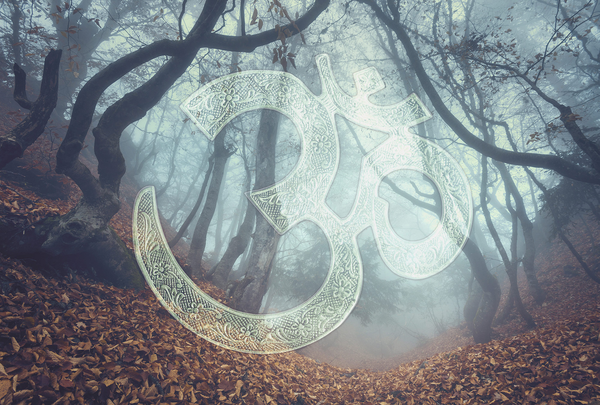 AS Fototapete Atelier 47 SymbolForest DD117780