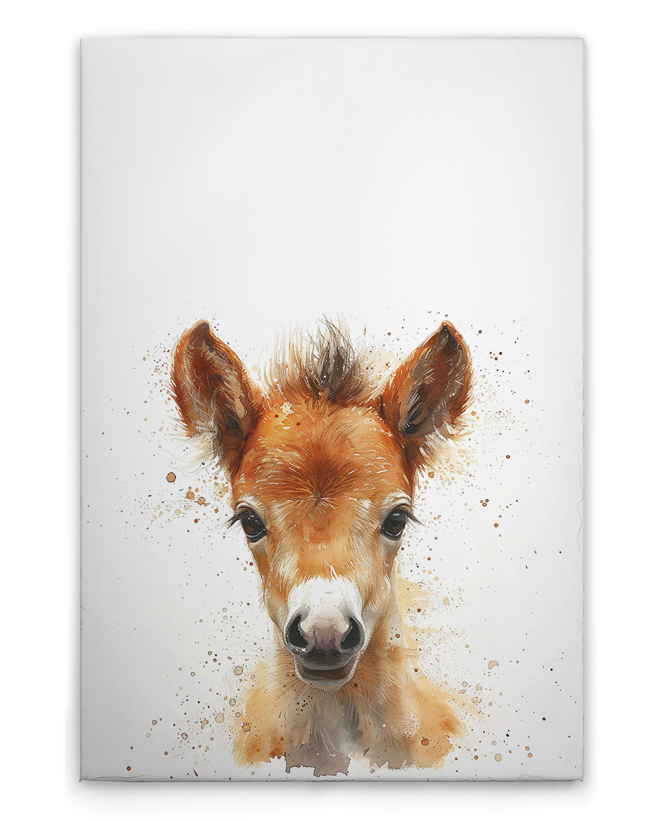 AS Leinwandbild Foal DD133008