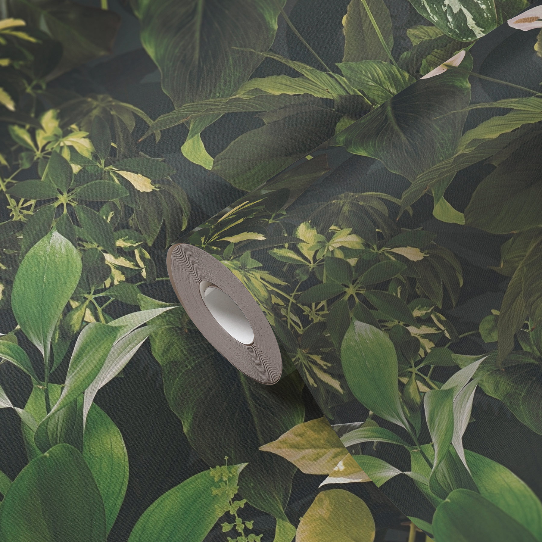 AS Vliestapete PintWalls II Pflanzen Grün 396981