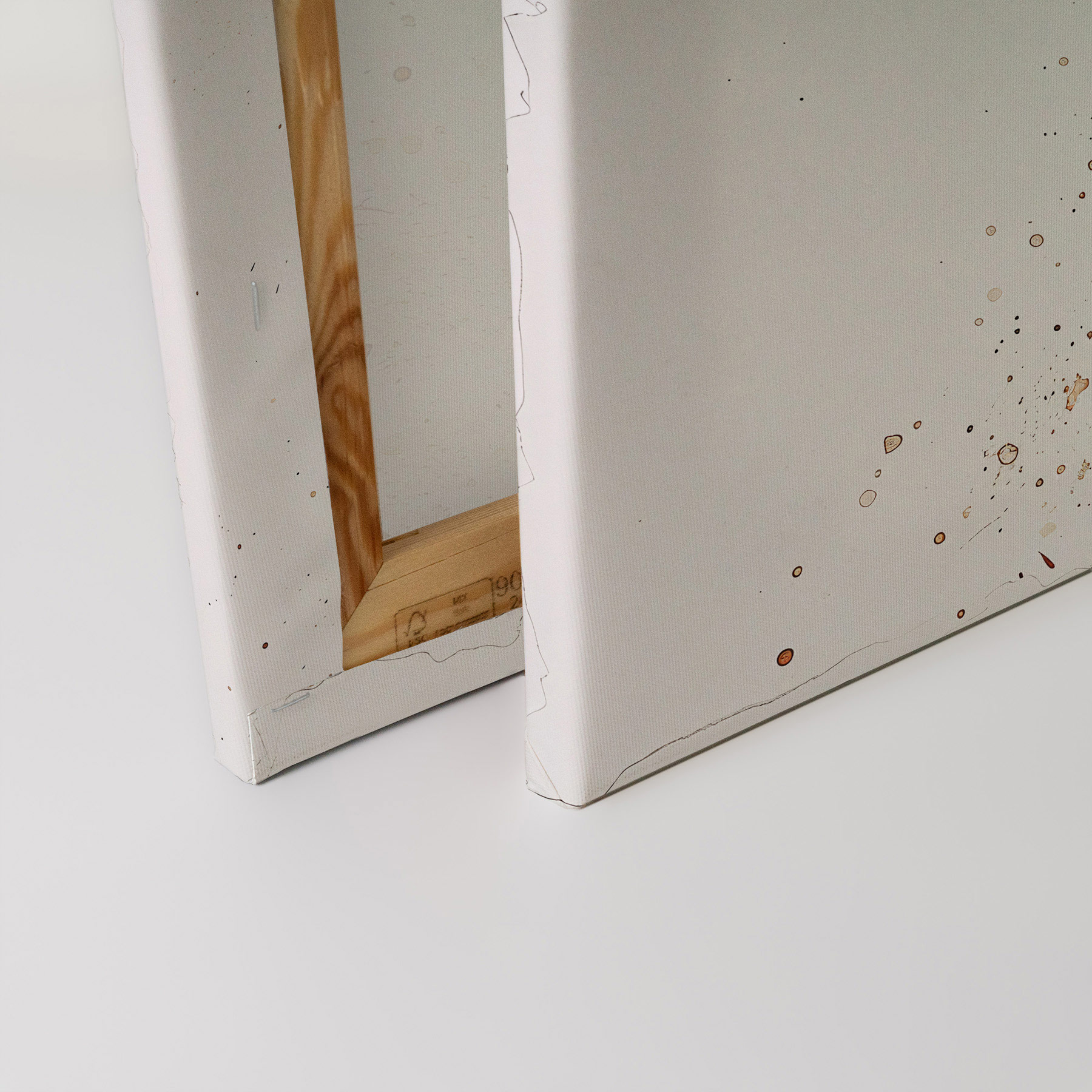 AS Leinwandbild Foal DD133008