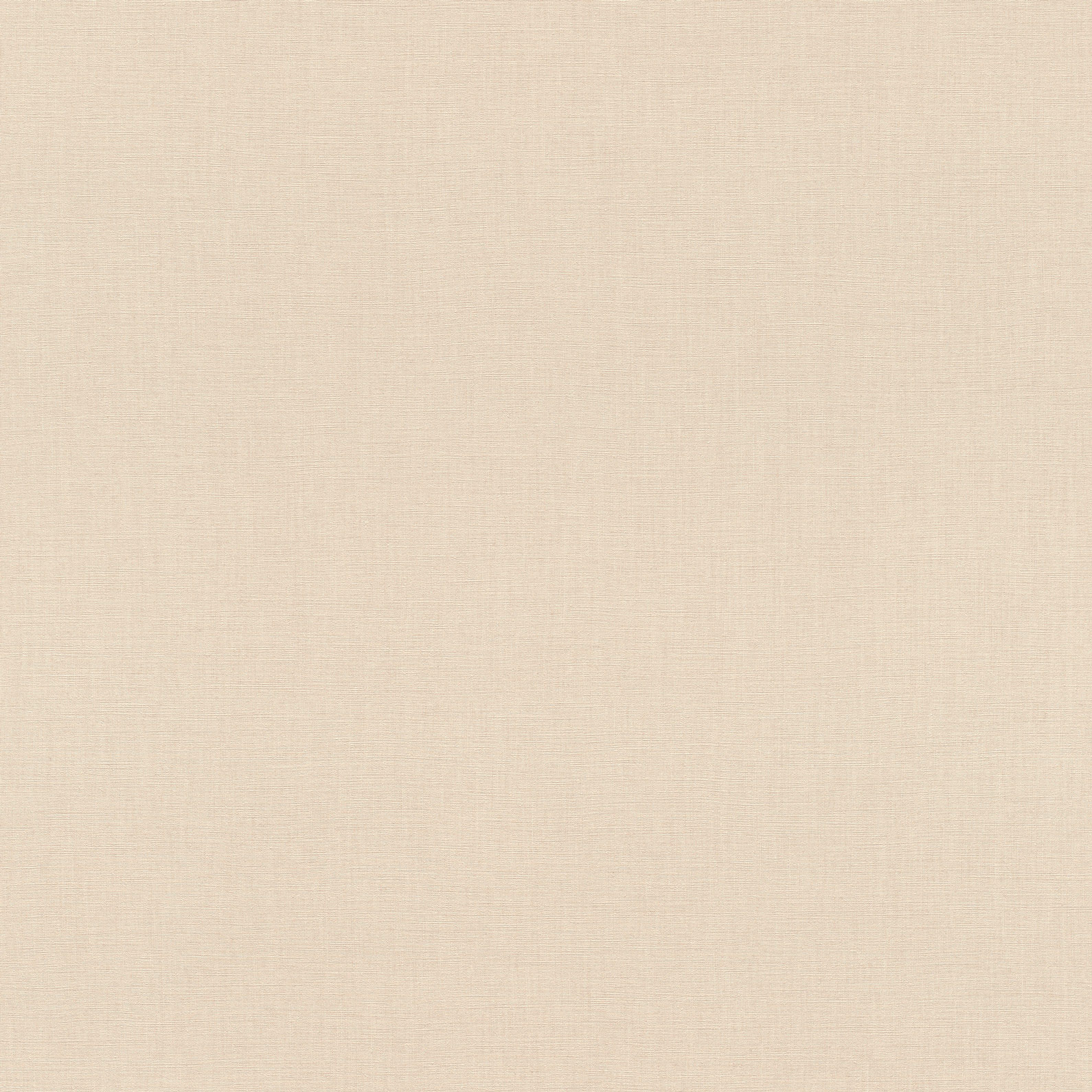 Rasch Vliestapete Allegretto Beige-Hellbeige 690767