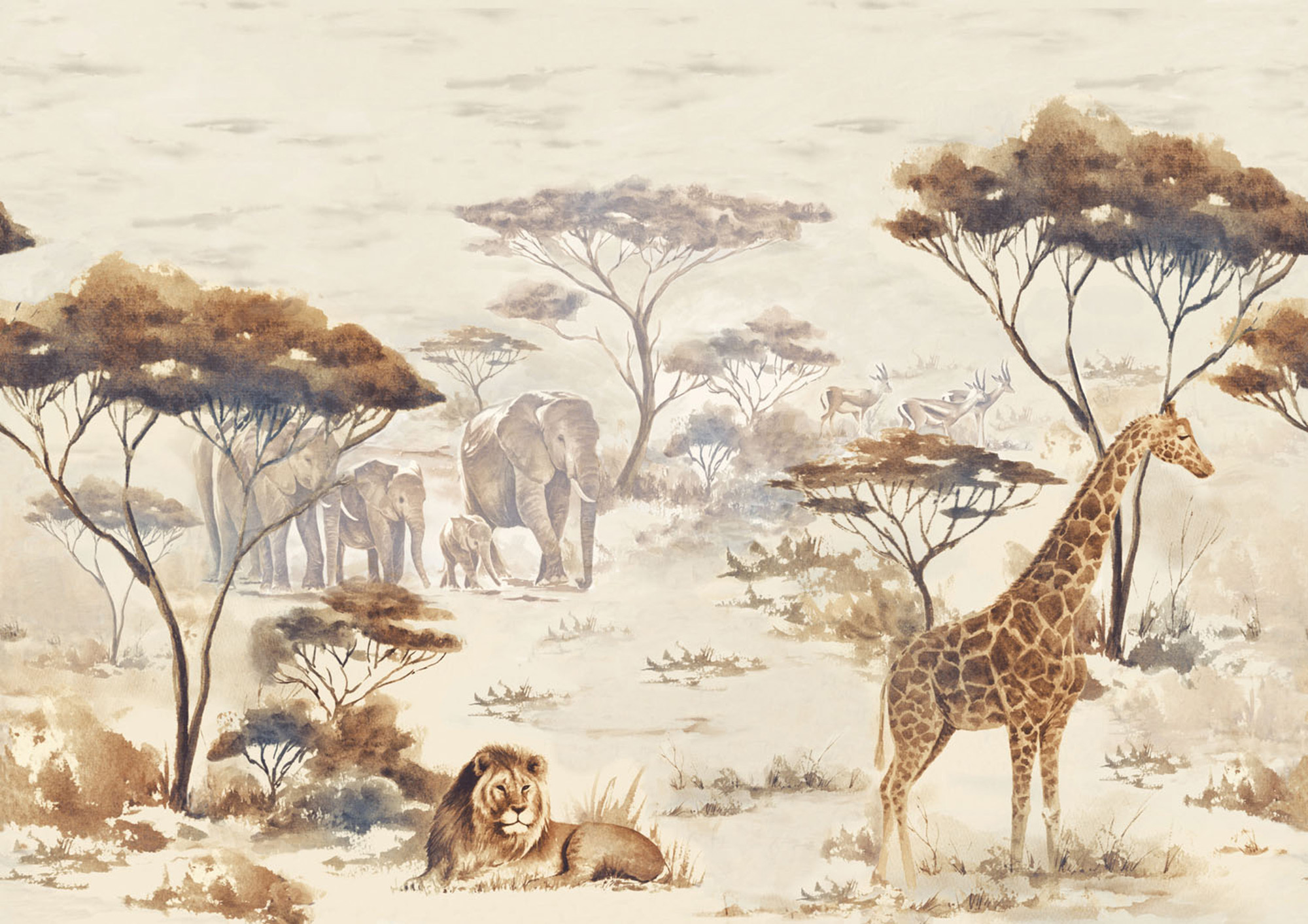 Rasch Wandbild Fototapete African Queen 3 Zebra 363661