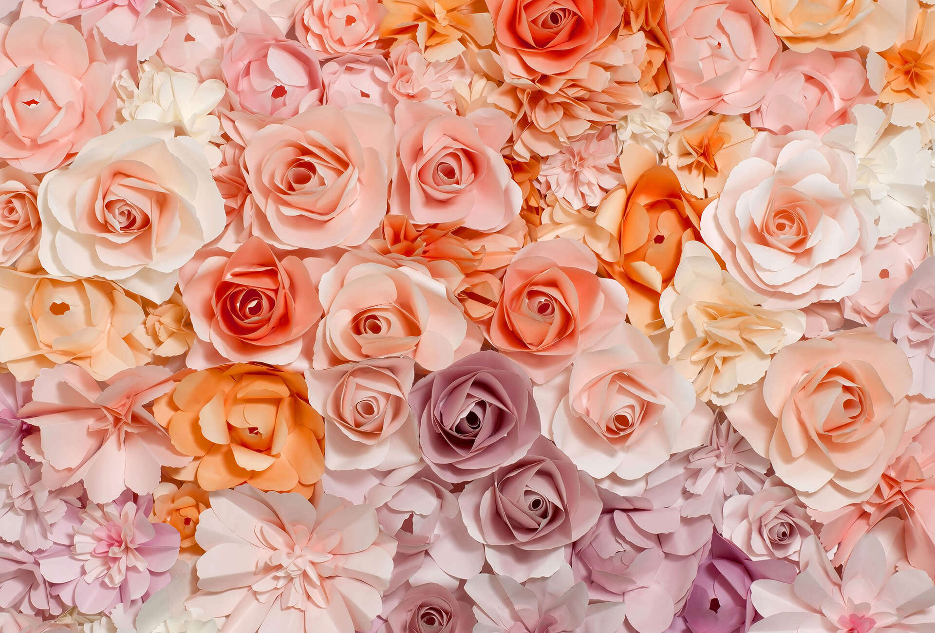 AS Fototapete Designwalls 2.0 Flowers Blumen DD118995