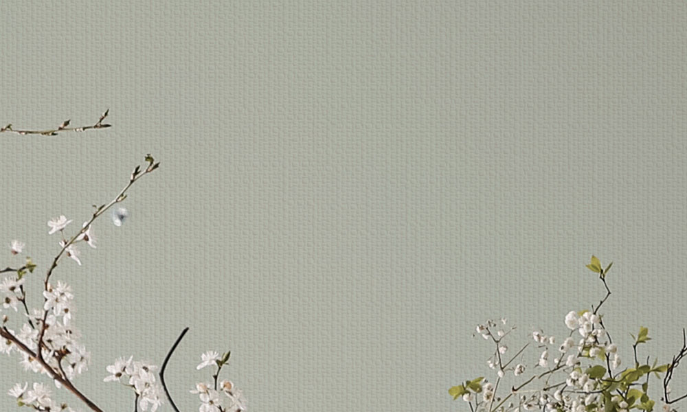 Erfurt Vliesfaser Tapete Protect 206 | Einzelrolle