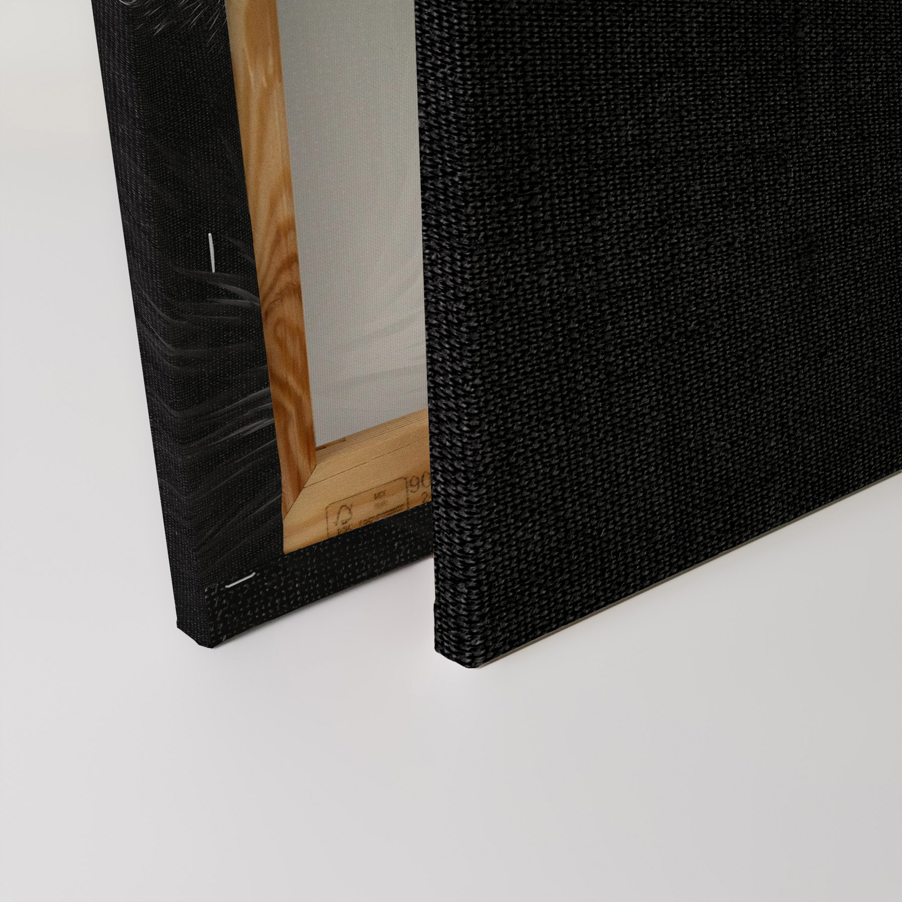 AS Leinwandbild Crowned Crane DD132198