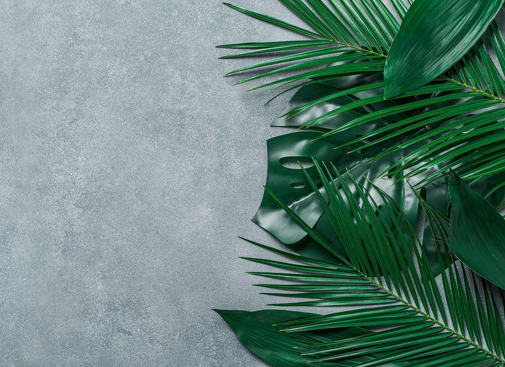 AS Fototapete Designwalls 2 Natur Pflanzen DD123472