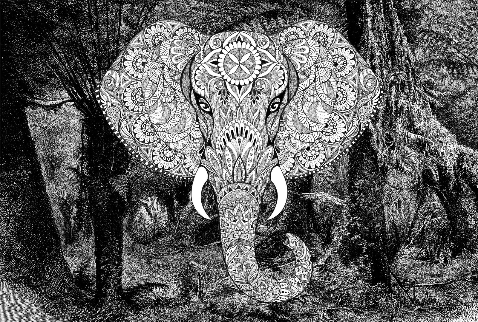 AS Fototapete Atelier 47 ElephantHead DD118120