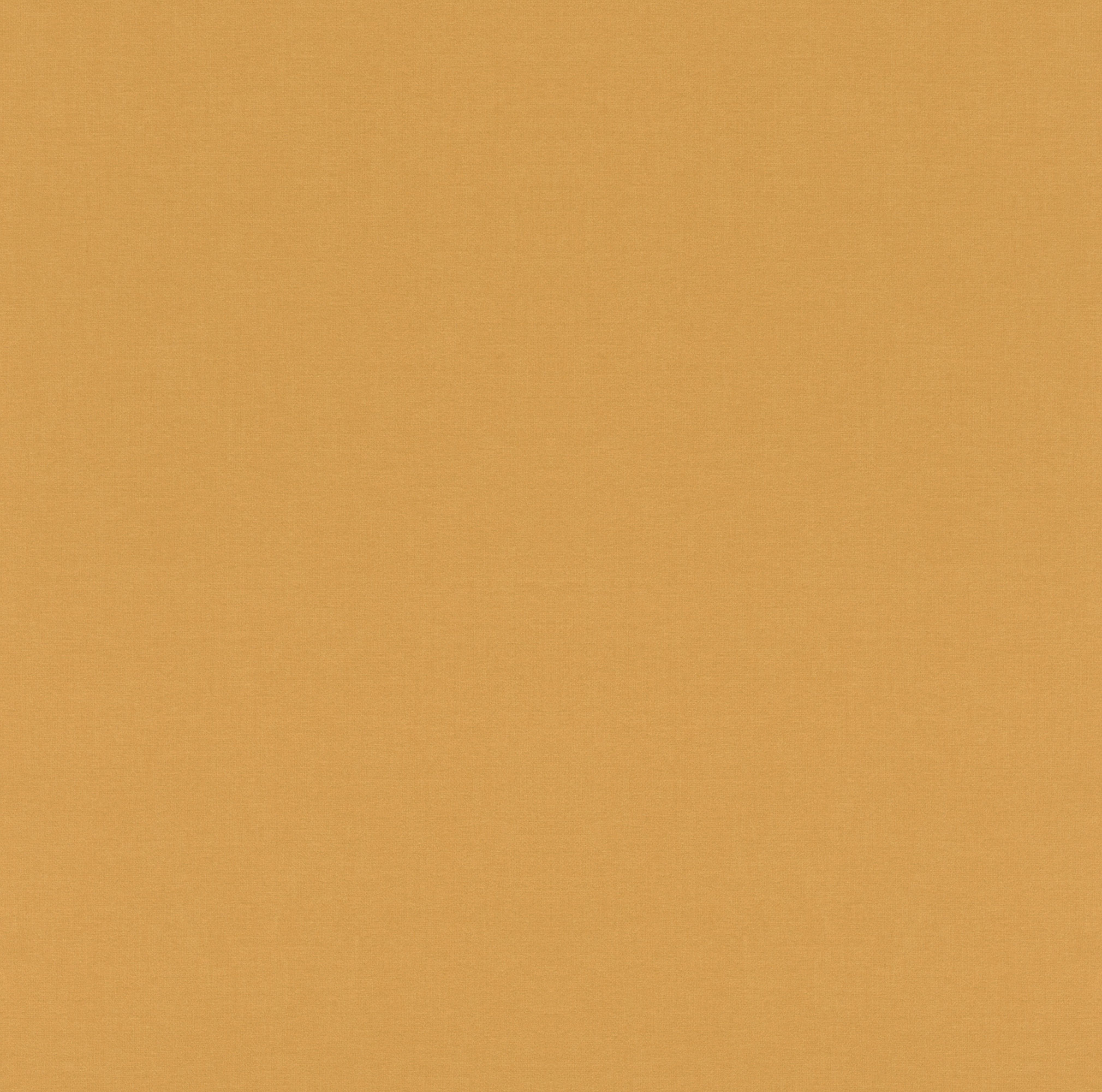 Rasch Vliestapete Sophia Uni 552805