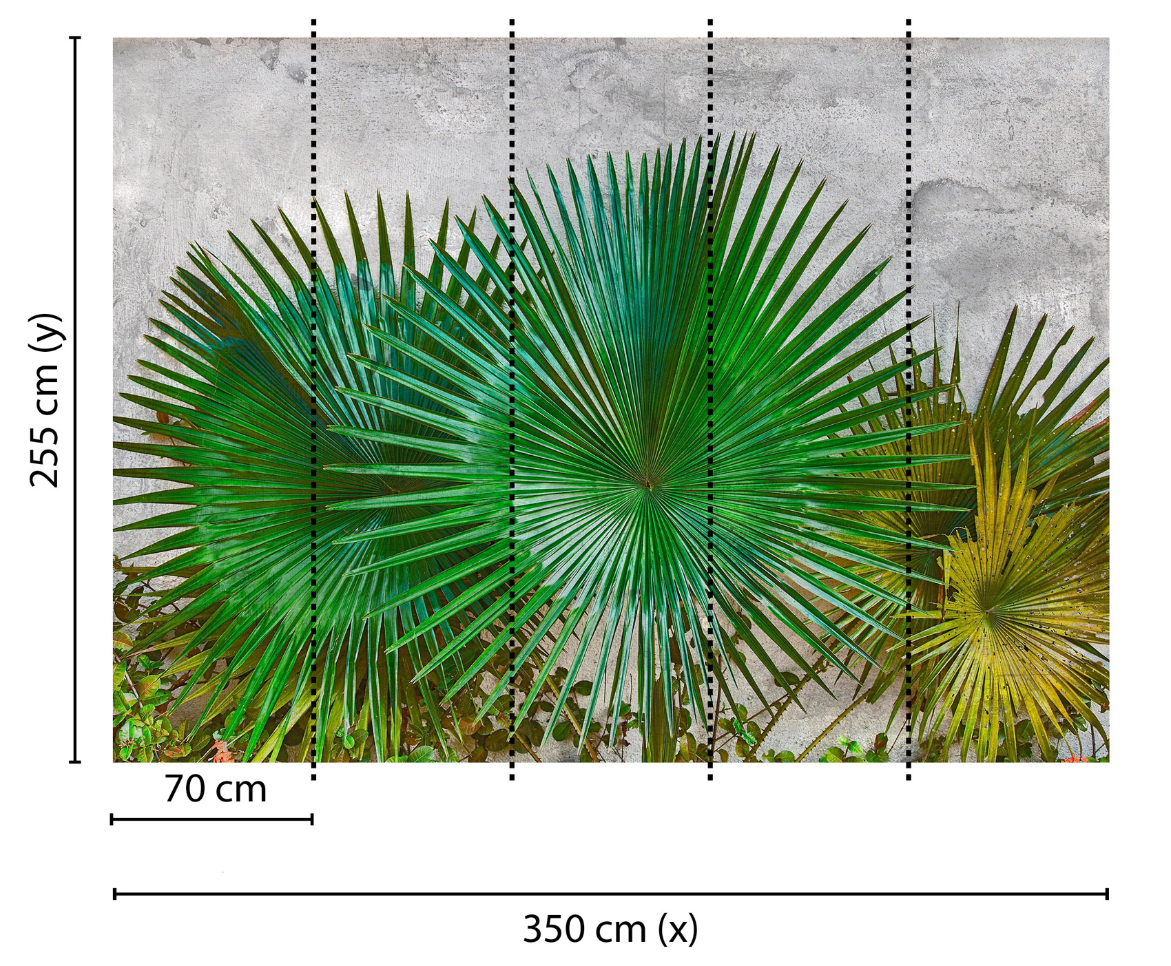 AS Fototapete Designwalls AgaveLeaves DD118710