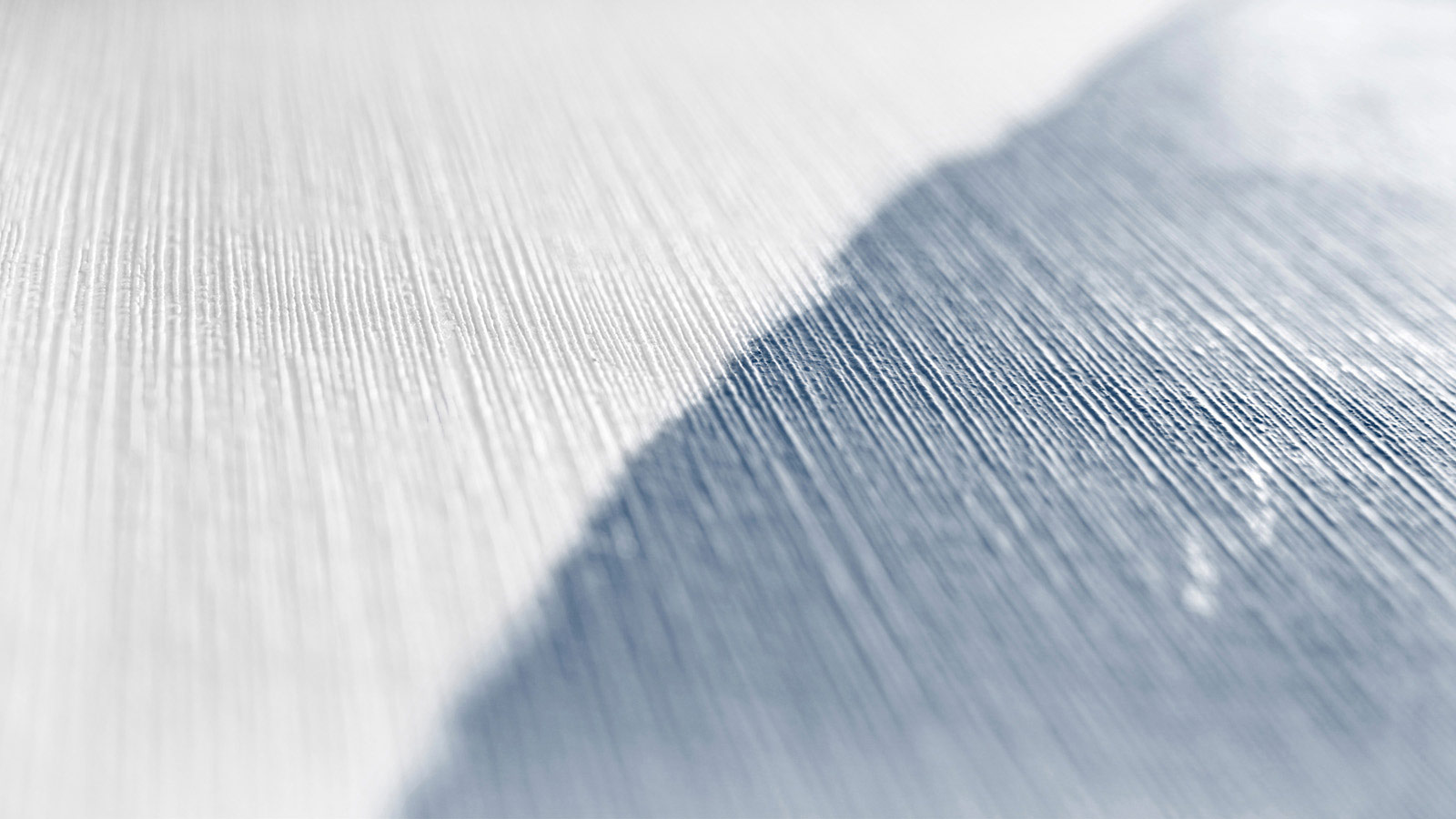 AS Vliestapete Meistervlies 8 überstreichbar 320061