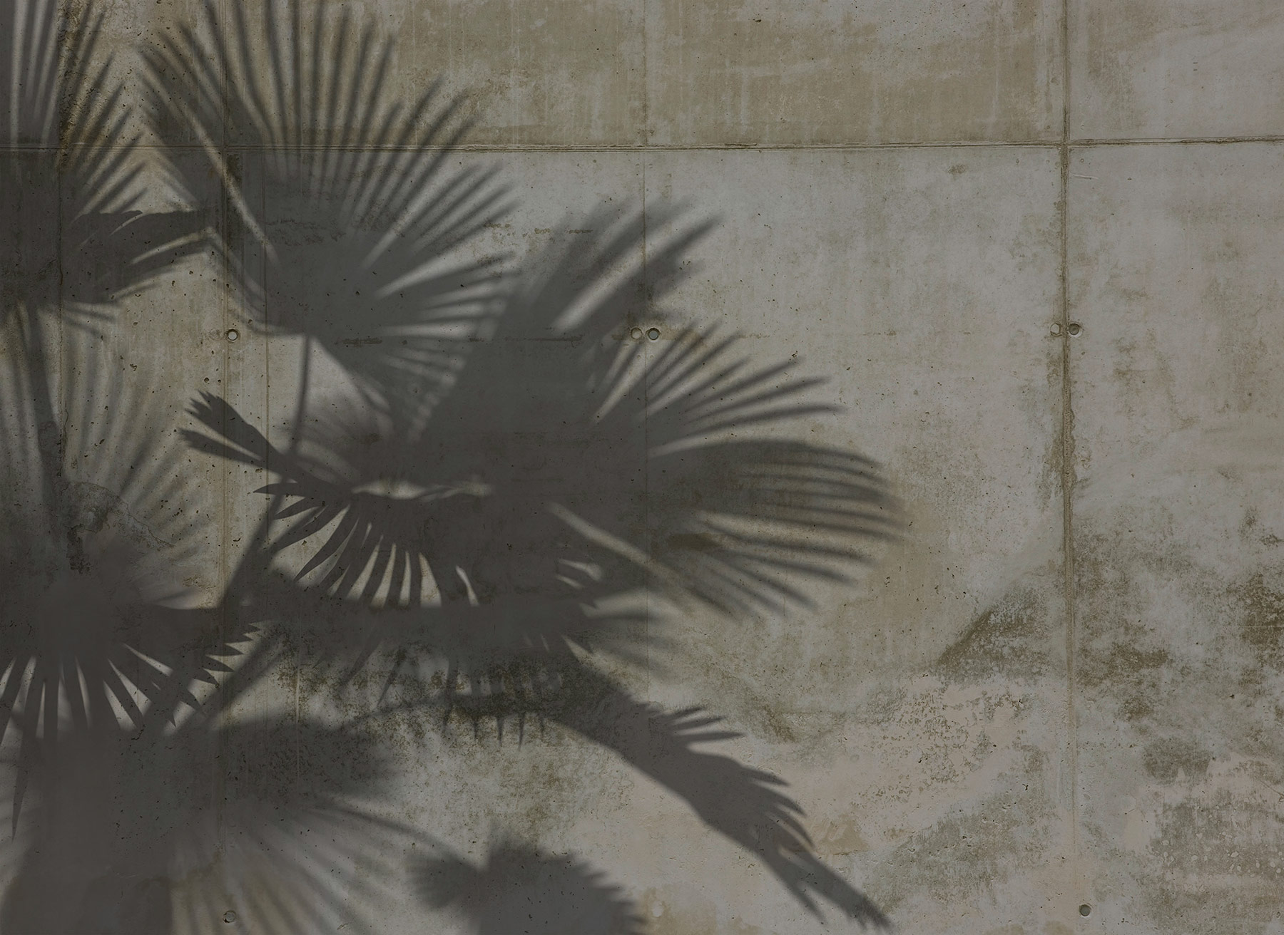 AS Fototapete Designwalls 2 Beton Palmen DD123512