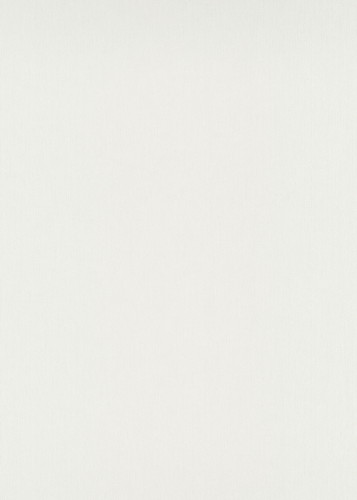 Erismann Vliestapete Versailles Unitapete grau 1028131