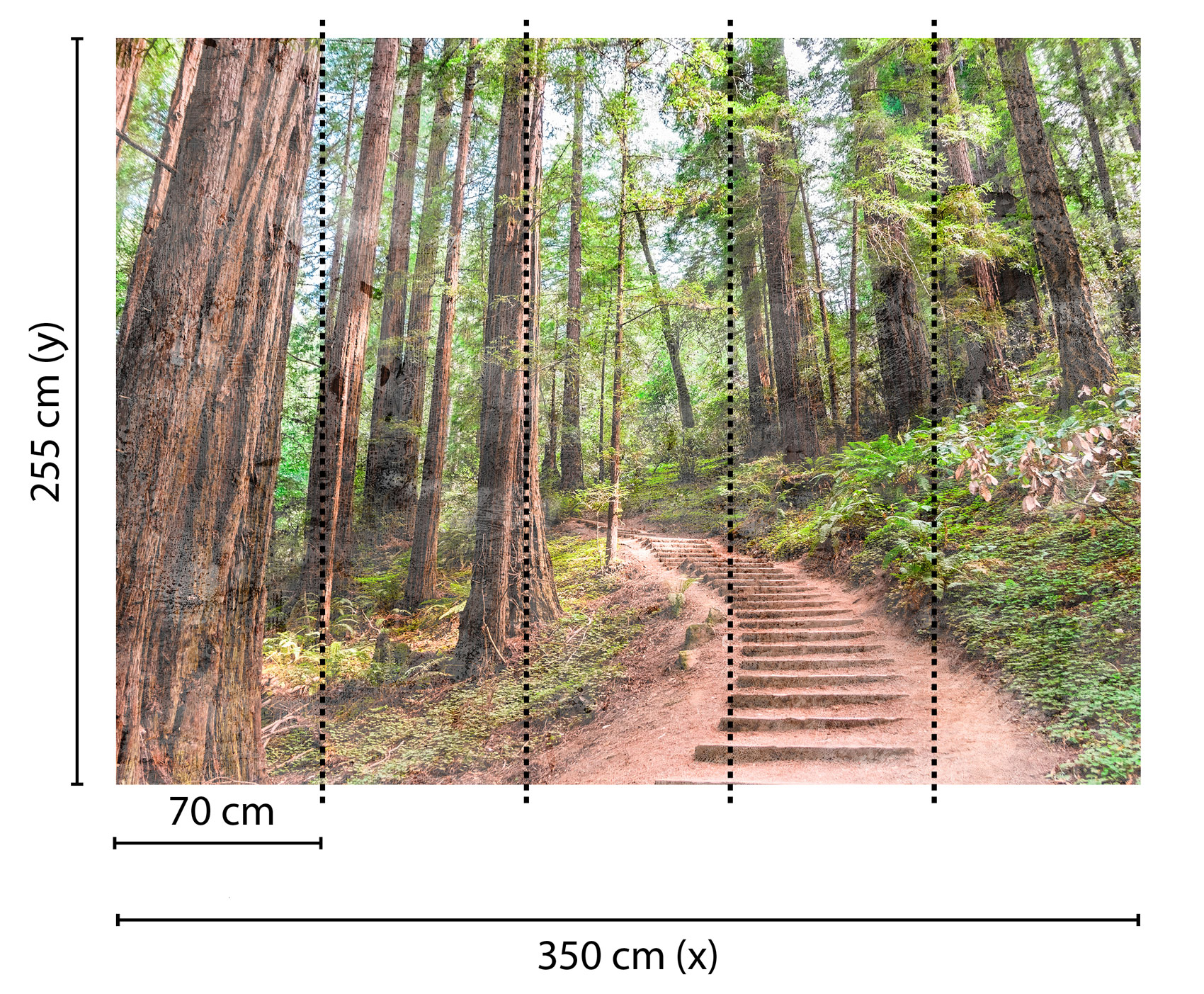 AS Fototapete Designwalls ForestWalk DD118626