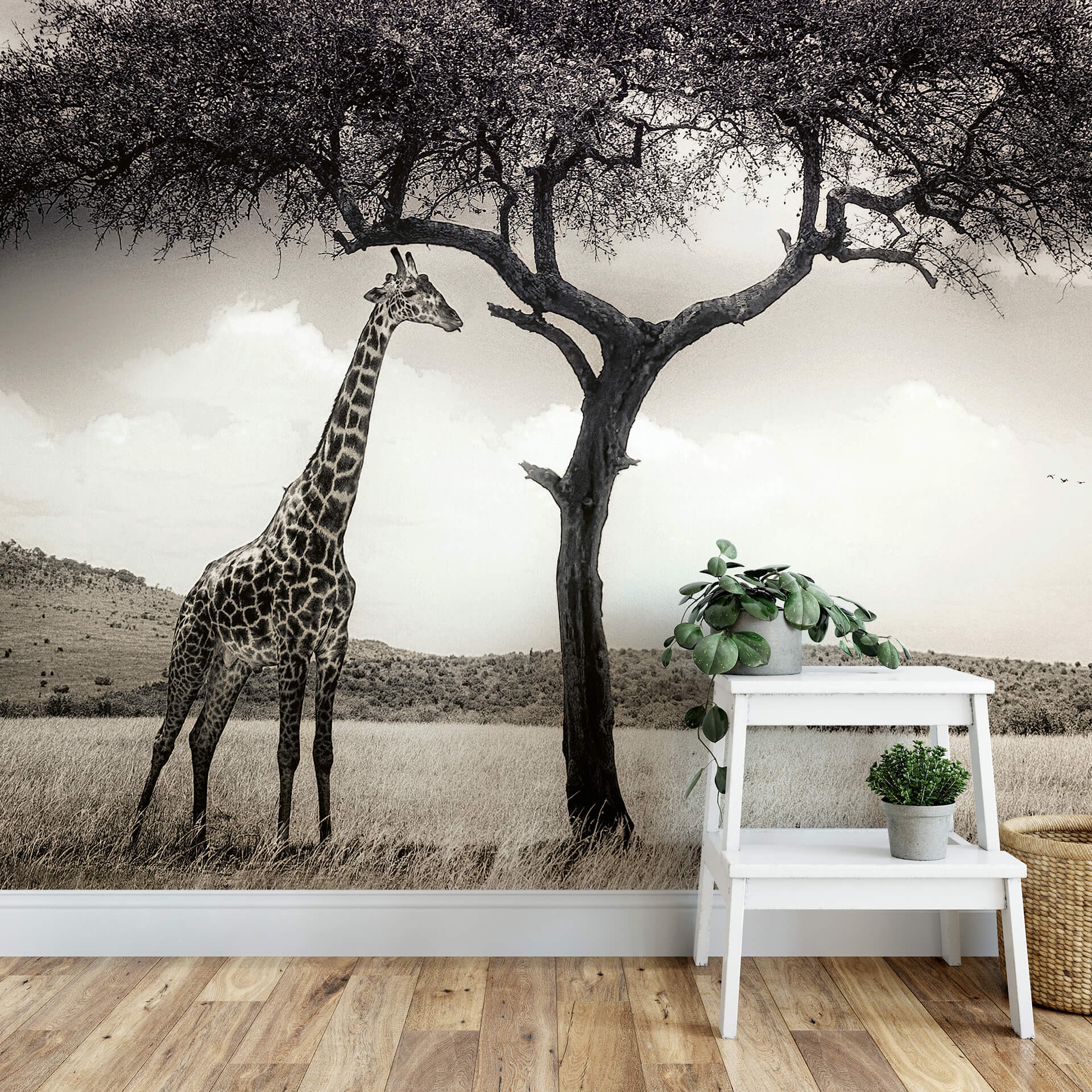 AS Fototapete Designwalls 2.0 Giraffe Safari DD118923