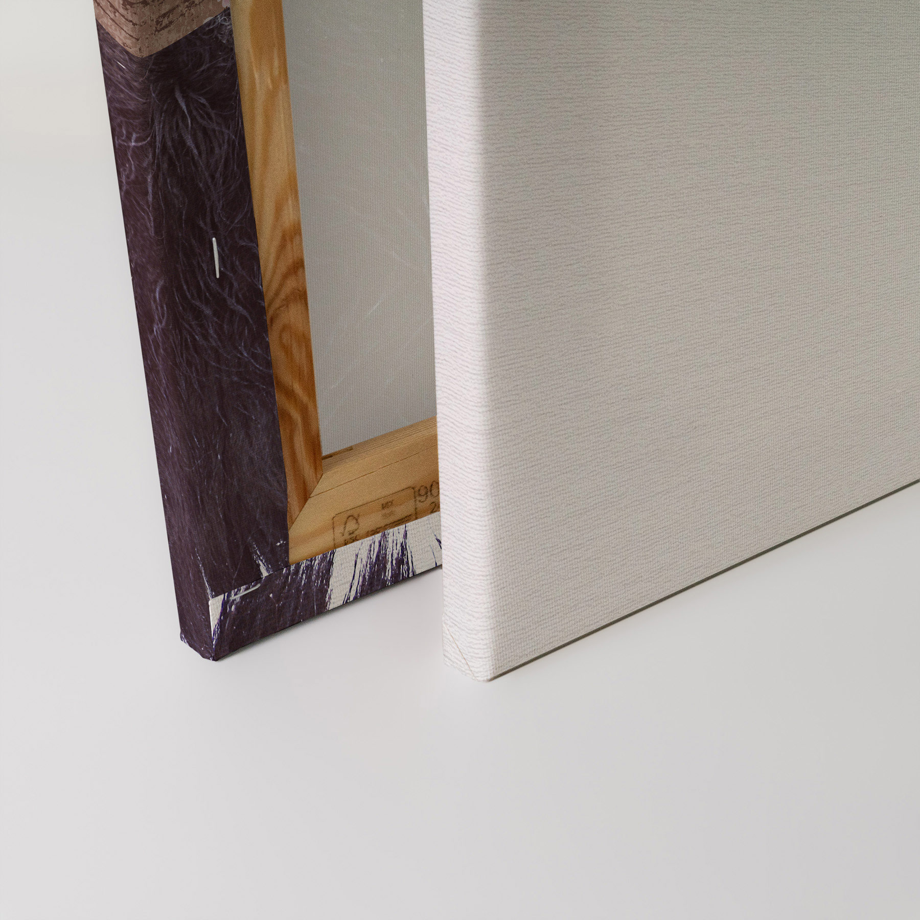 AS Leinwandbild Black Buffalo DD132183